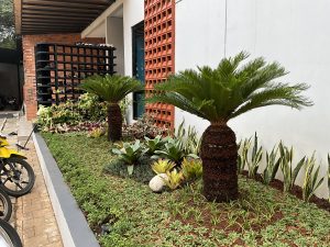 Tanaman Hias di Cinta Quran Center