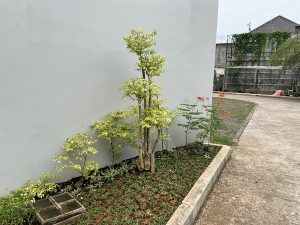 Tanaman Hias di Cinta Quran Center