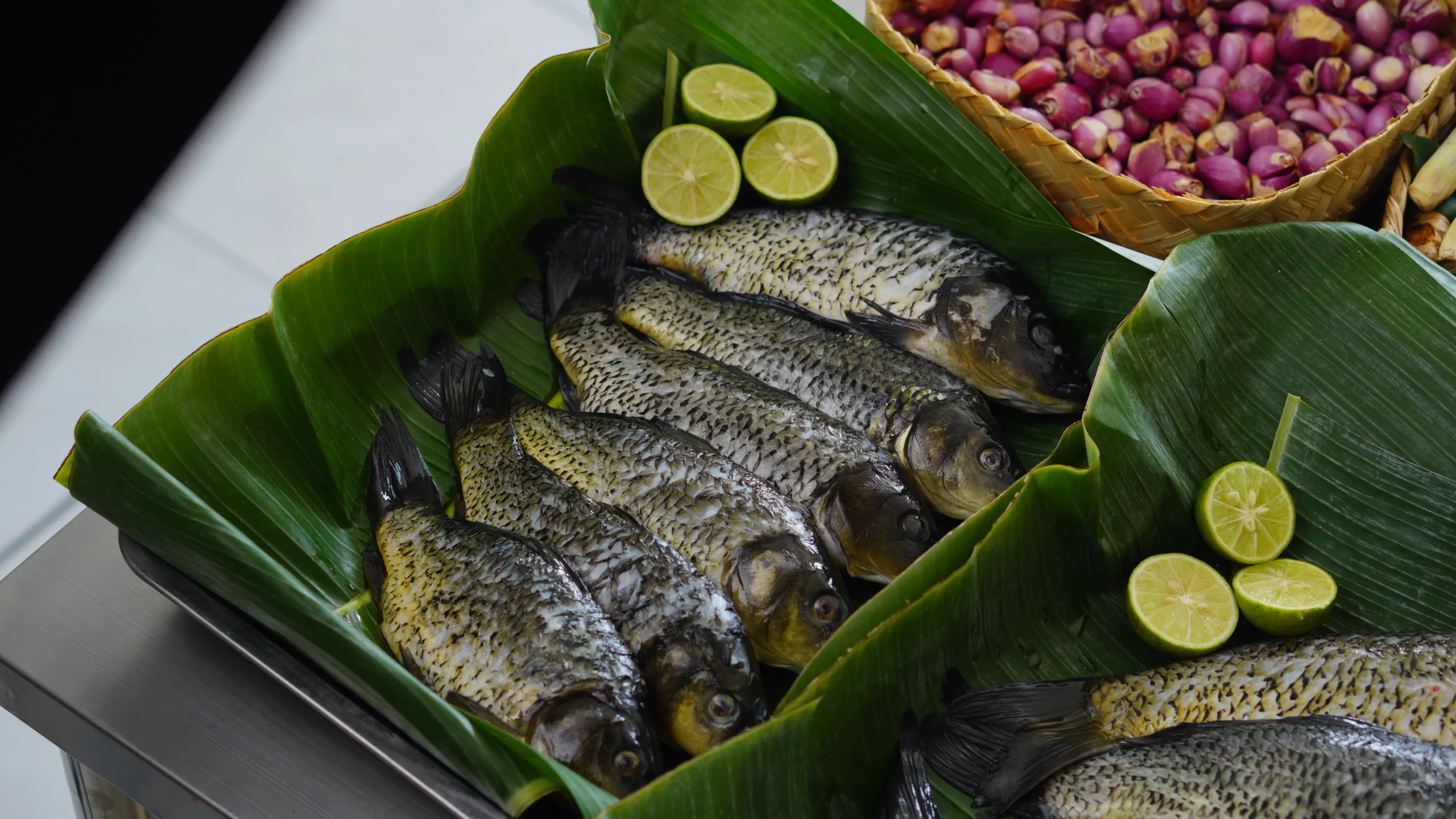 Ikan Segar Pilihan